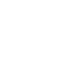 ornament 2.png